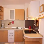 Apartment Vojka In City Center