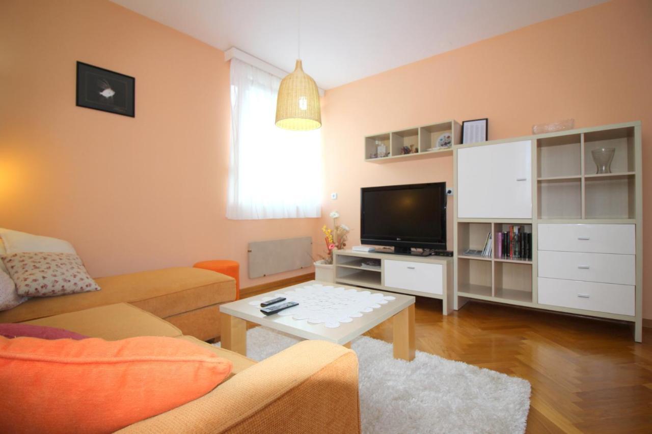 Vojka In Center Apartment *